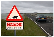 Otters crossing sign